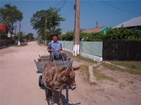 Fotografii Delta Dunarii, foto Delta Dunarii, pictures Danube Delta